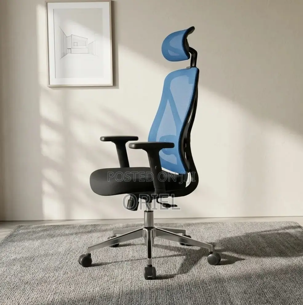Office Chair : Blue Ergonomic Chair