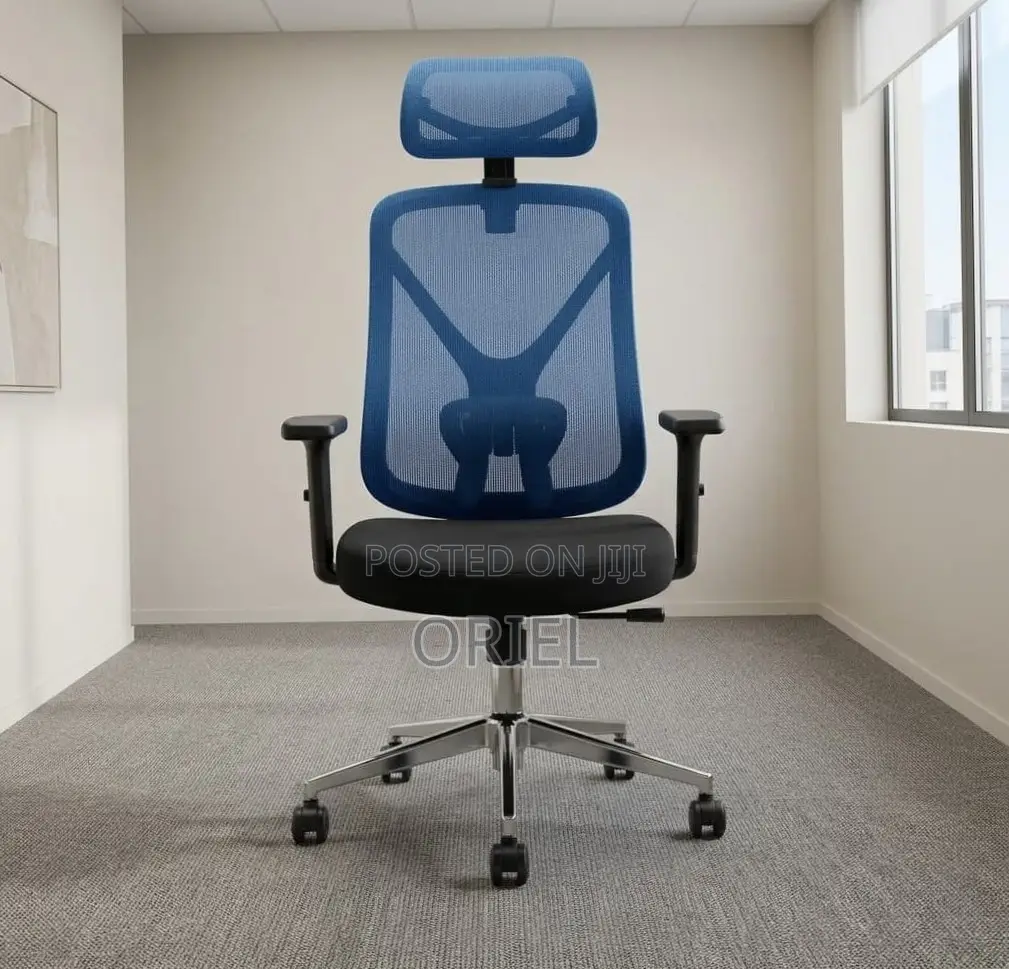 Office Chair : Blue Ergonomic Chair