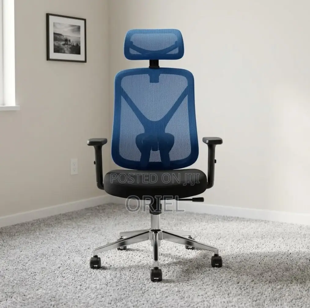 Office Chair : Blue Ergonomic Chair