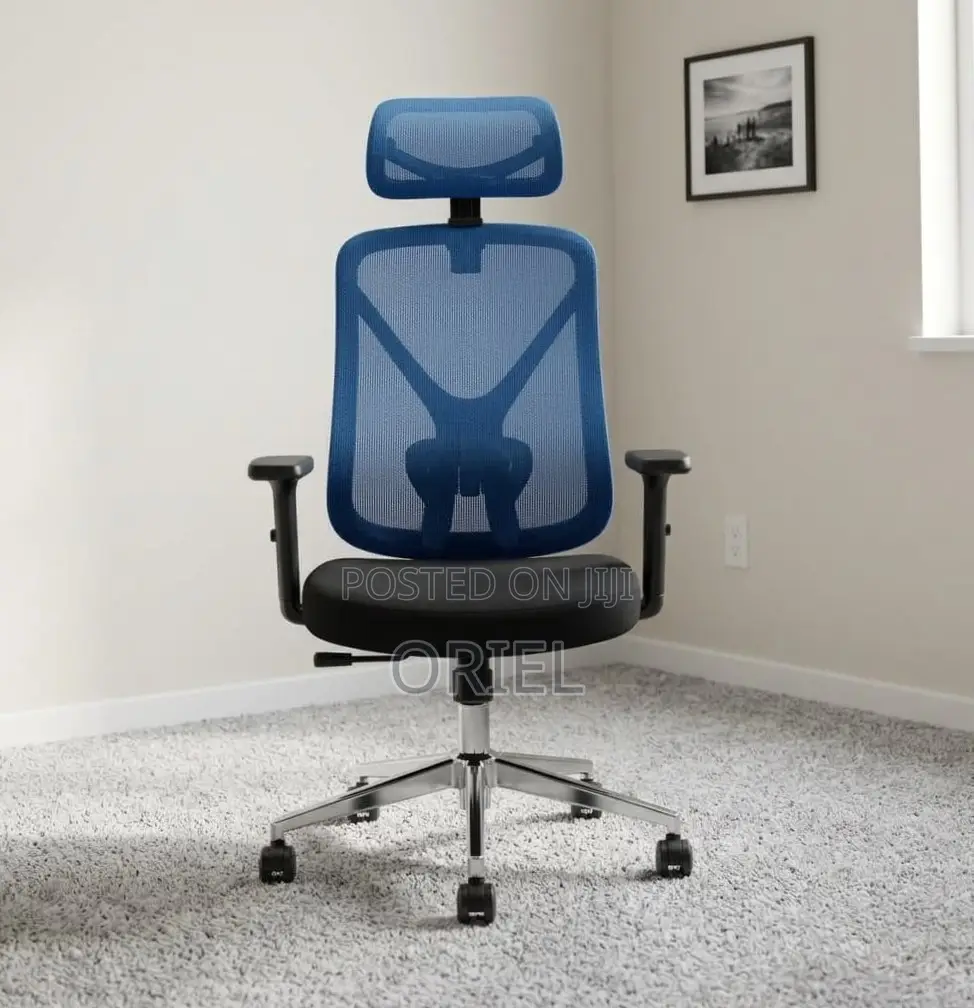 Office Chair : Blue Ergonomic Chair