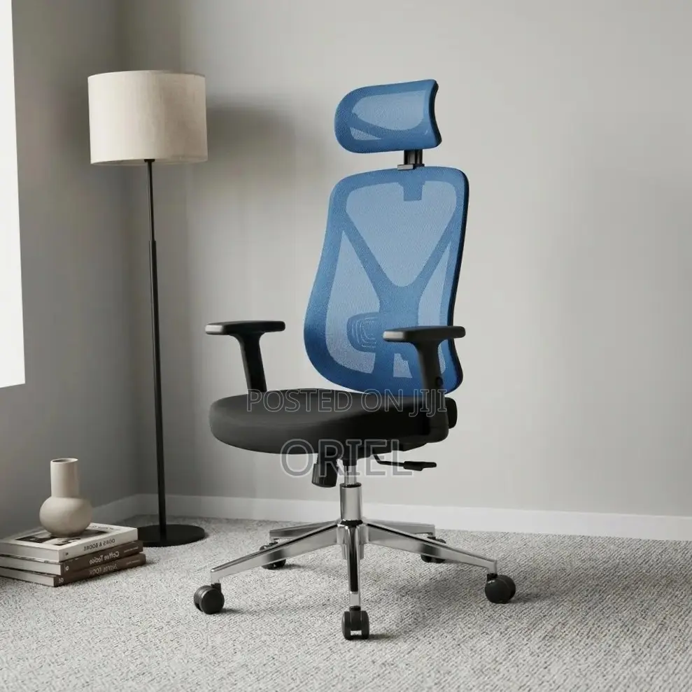 Office Chair : Blue Ergonomic Chair