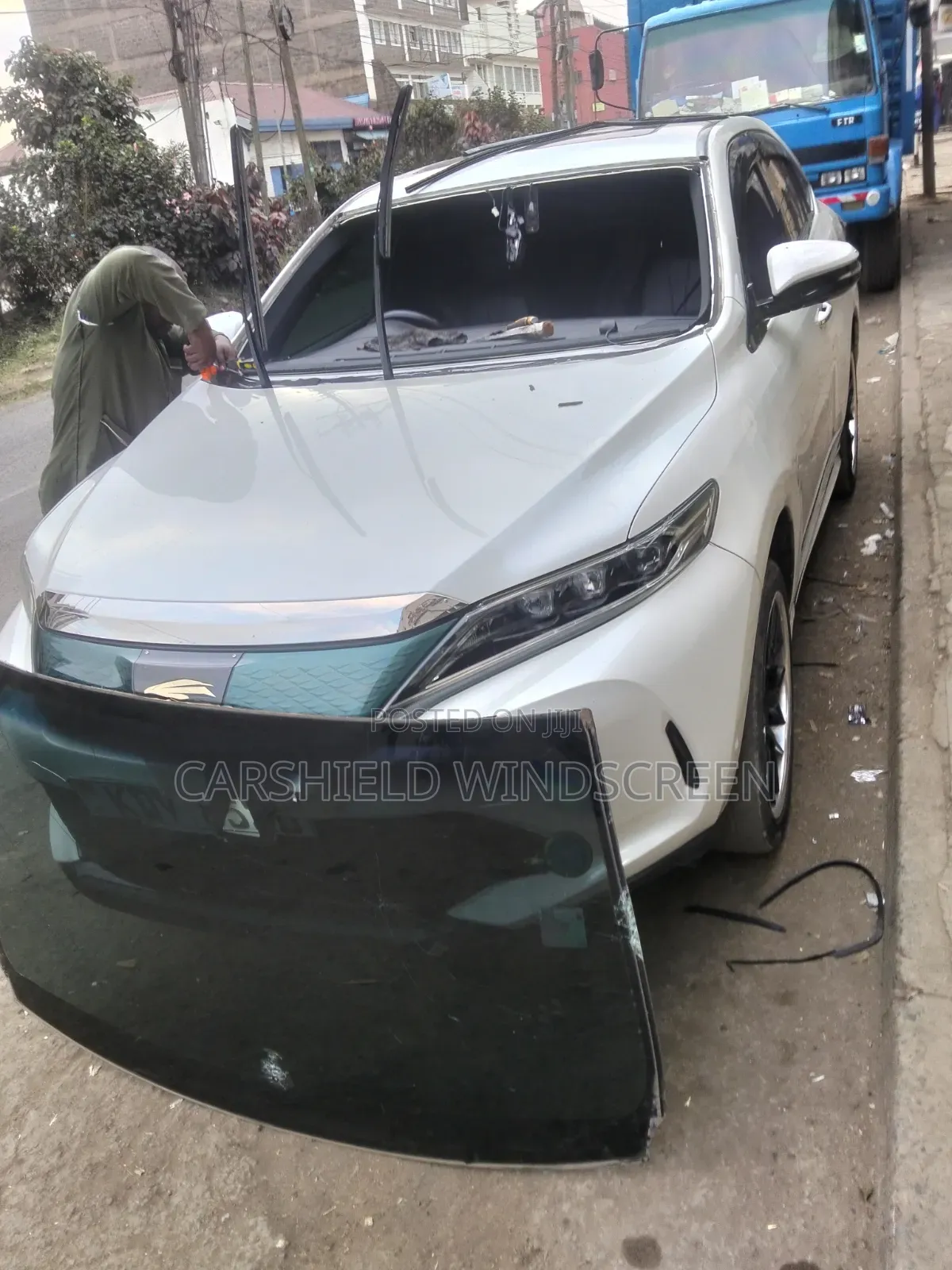 Carshield Windscreen