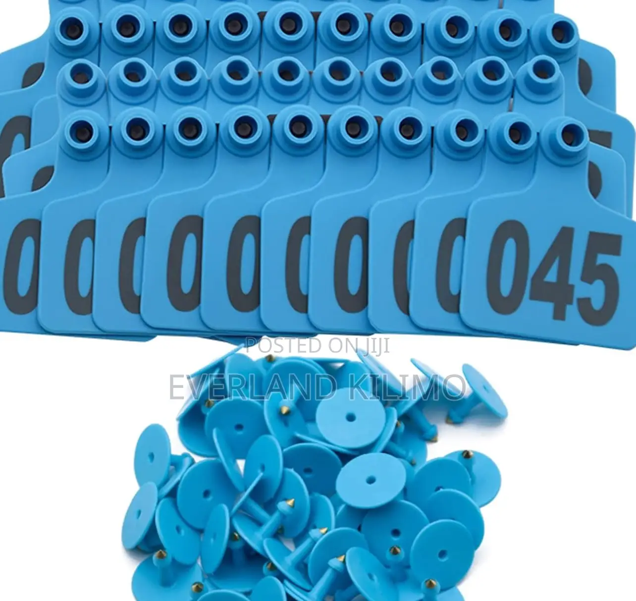 Numbered Professional Medium Identification for Cattles