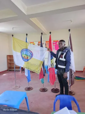 Qw0, Standard Custom Flags, Flags