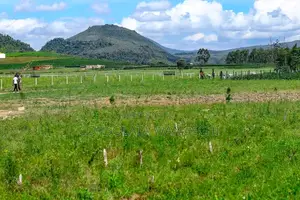 50 by 100 Plots for Sale in Naivasha - KSH 490k