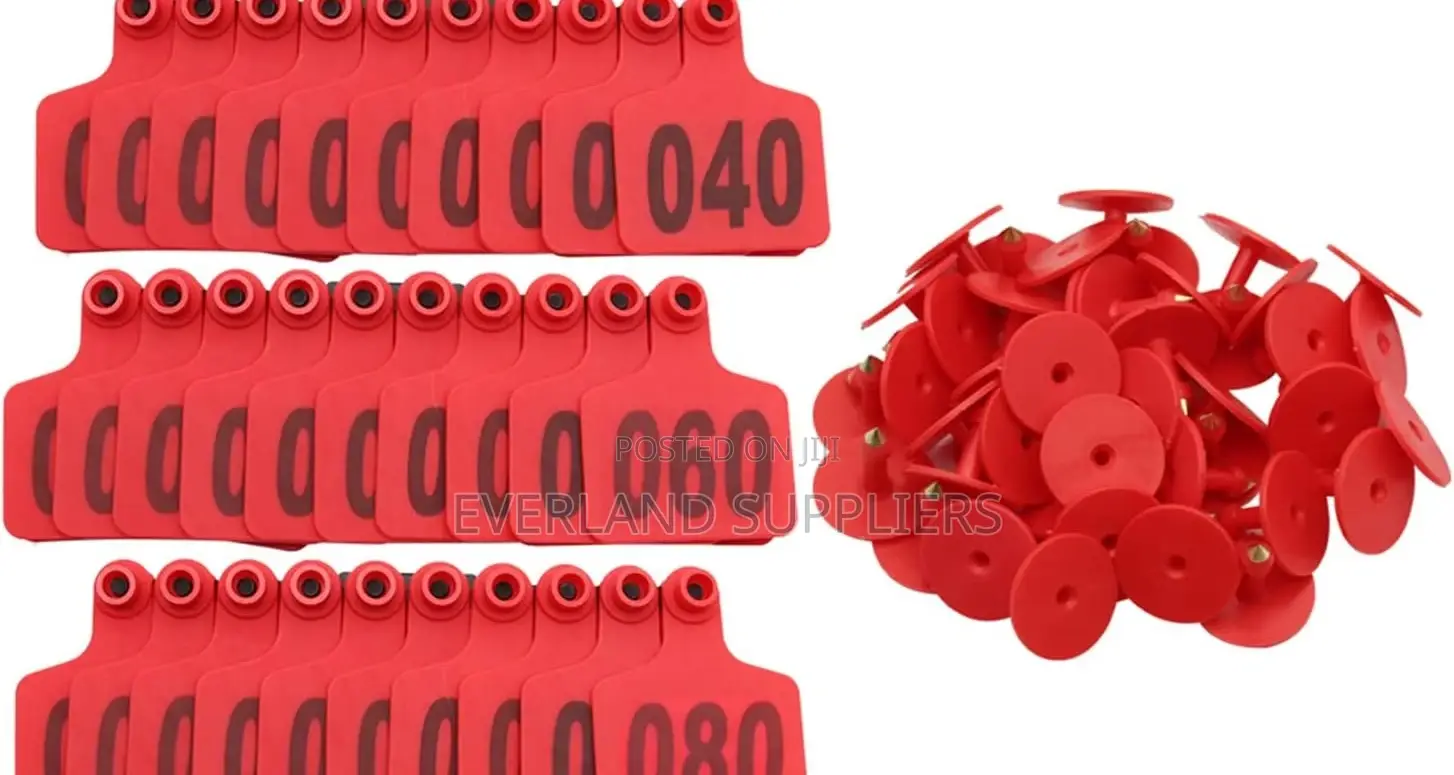 Ready-to-Use Numbered Ear Tags for Cattles, Medium