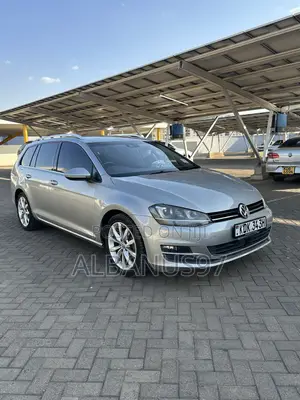 Volkswagen Golf Variant 2015 Gray