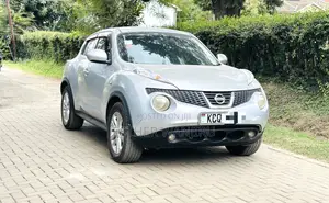 Nissan Juke 2011 Silver