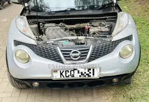 Nissan Juke 2011 Silver