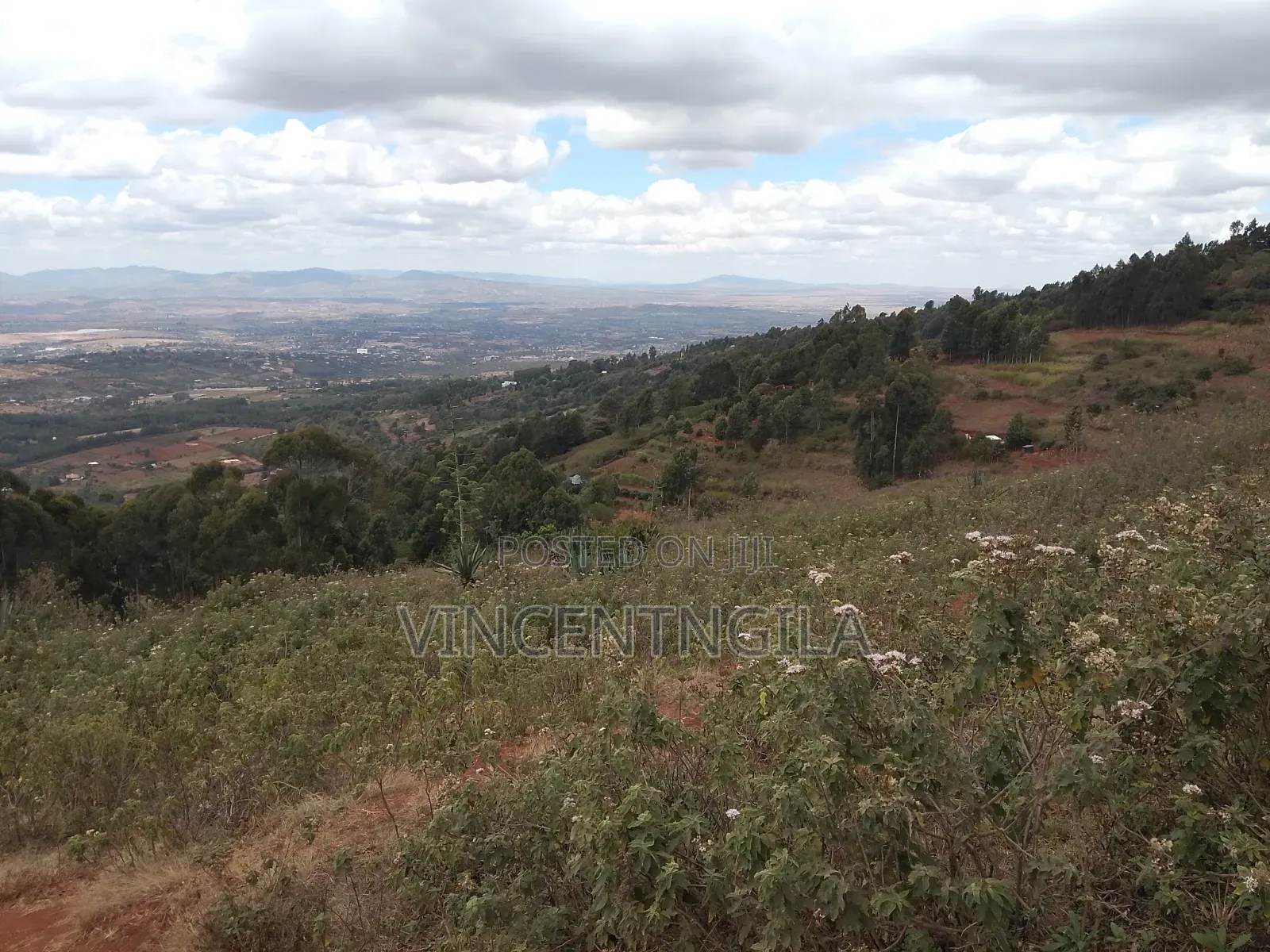 Mua Hills 7 Acres