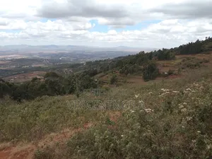 Mua Hills 7 Acres