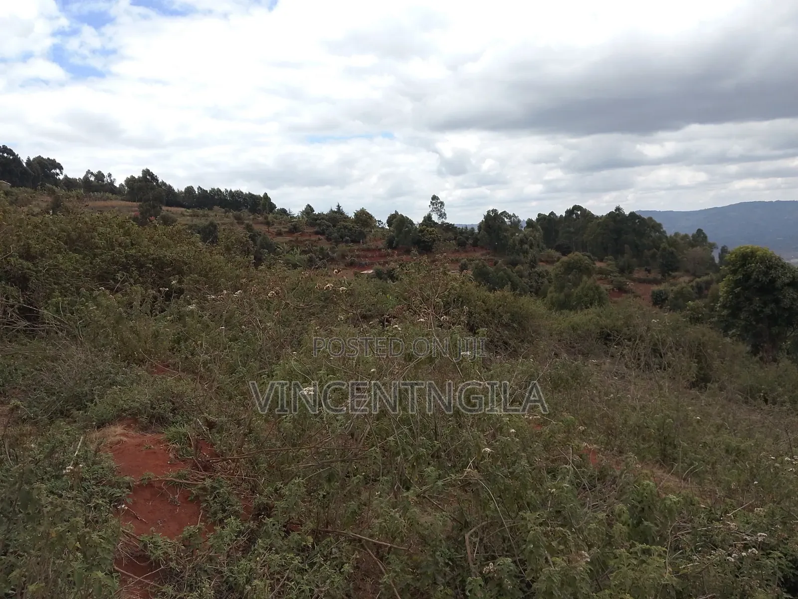 Mua Hills 7 Acres