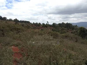 Mua Hills 7 Acres