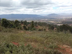 Mua Hills 7 Acres