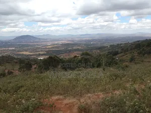 Mua Hills 7 Acres
