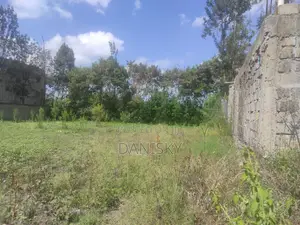 100 by 100 Plot Behind 3D Githurai