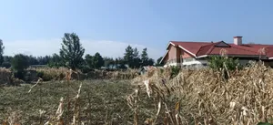 1/4 Plot for Sale – Kabarak Rafiki Center Nakuru