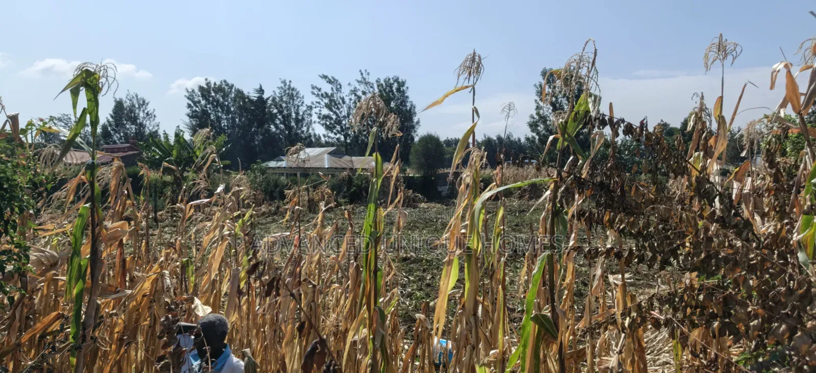 1/4 Plot for Sale – Kabarak Rafiki Center Nakuru