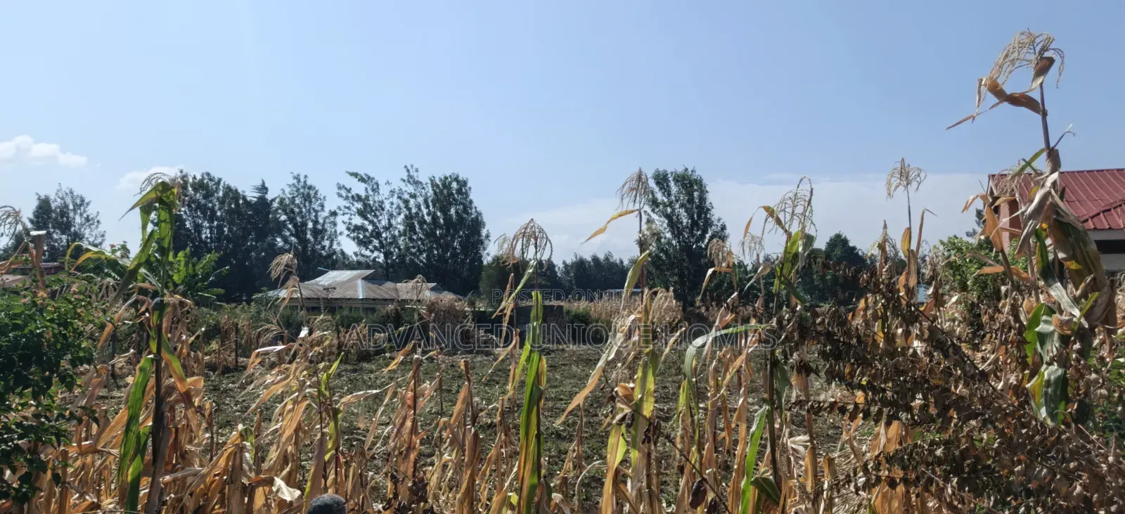 1/4 Plot for Sale – Kabarak Rafiki Center Nakuru
