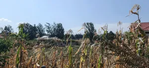 1/4 Plot for Sale – Kabarak Rafiki Center Nakuru