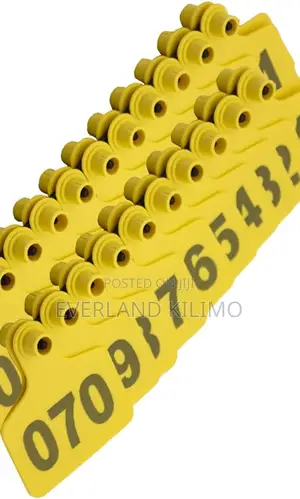 High-Visibility Numbered Medium Ear Tags