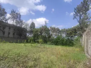 100 by 100 Plot Behind 3D Githurai