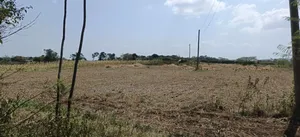 2 Acres of Land for Sale – Kampi Ya Moto, Nakuru