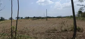 2 Acres of Land for Sale – Kampi Ya Moto, Nakuru