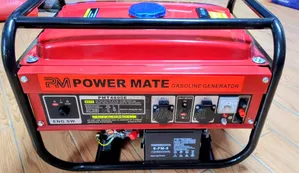 Powermate PMT4800E,
