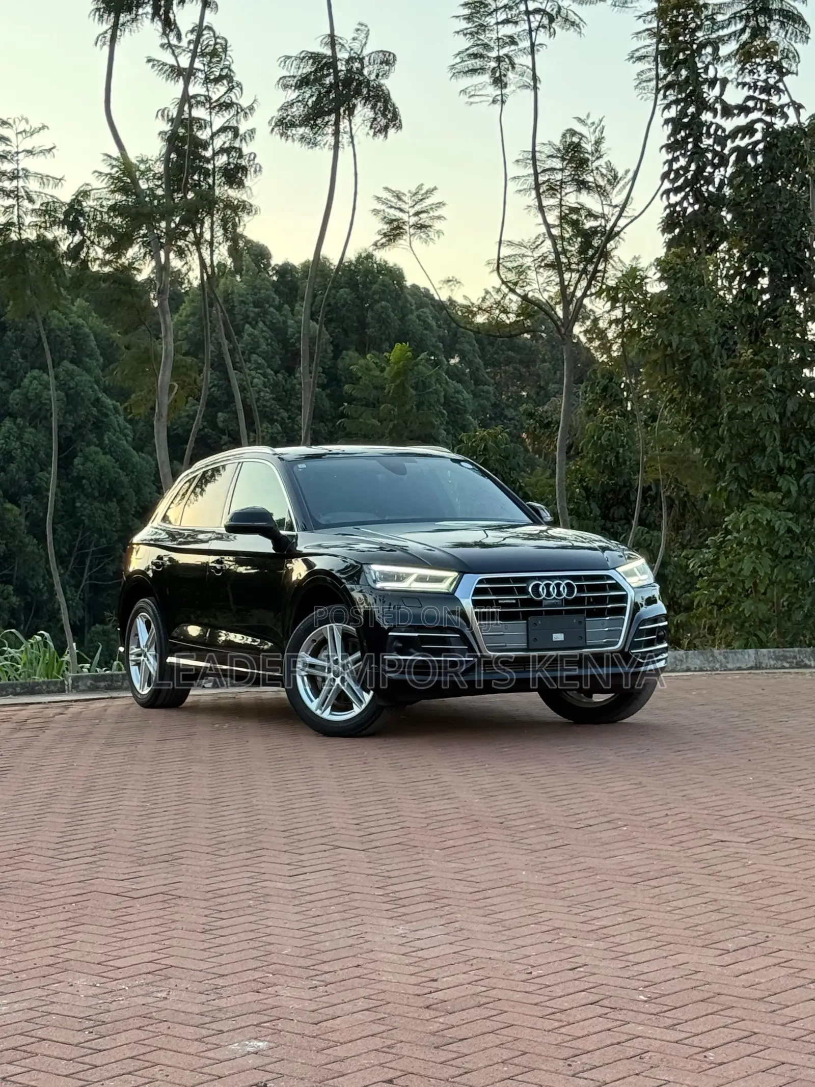 Audi Q5 2.0T Premium AWD quattro 2019 Black