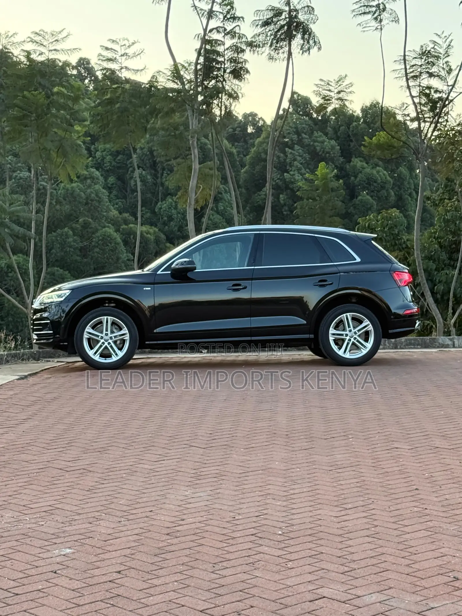 Audi Q5 2.0T Premium AWD quattro 2019 Black