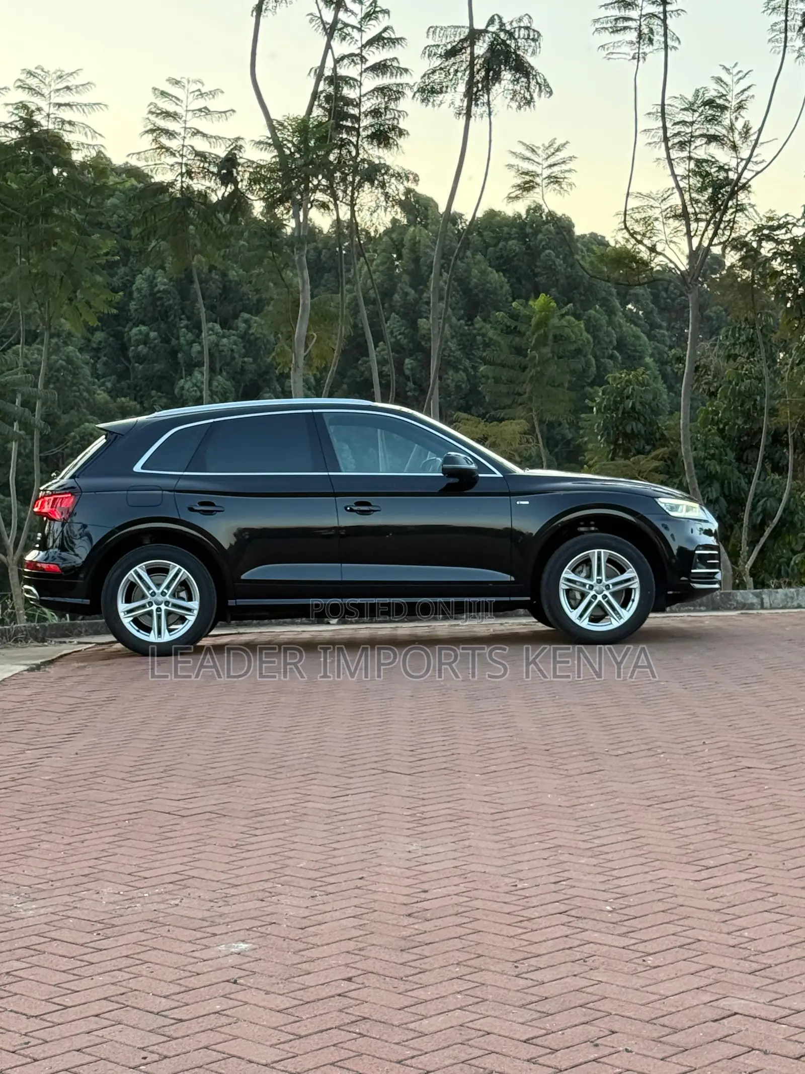 Audi Q5 2.0T Premium AWD quattro 2019 Black