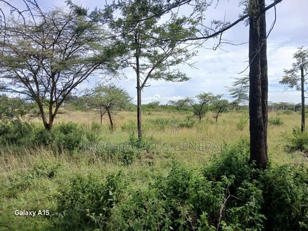 One Acre Residential Land for Sale Masaai Lodge