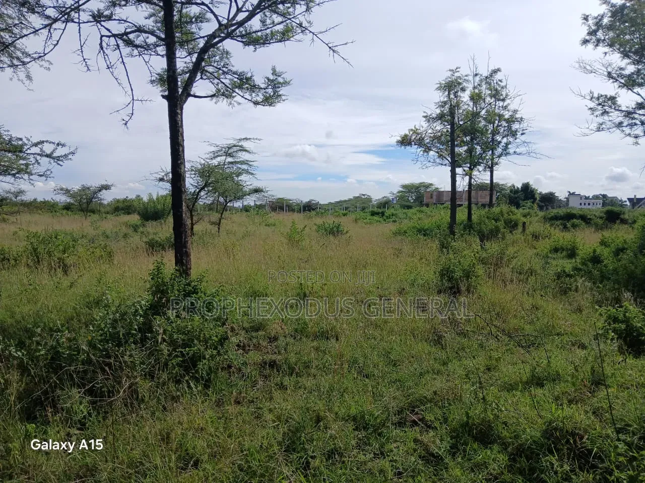 One Acre Residential Land for Sale Masaai Lodge