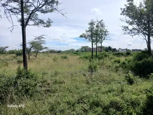 One Acre Residential Land for Sale Masaai Lodge