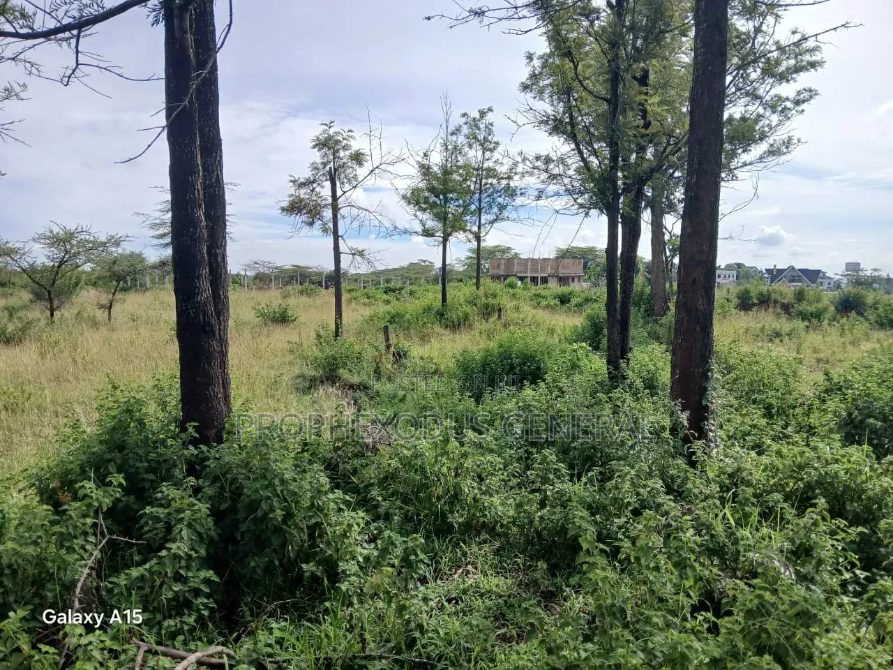 One Acre Residential Land for Sale Masaai Lodge