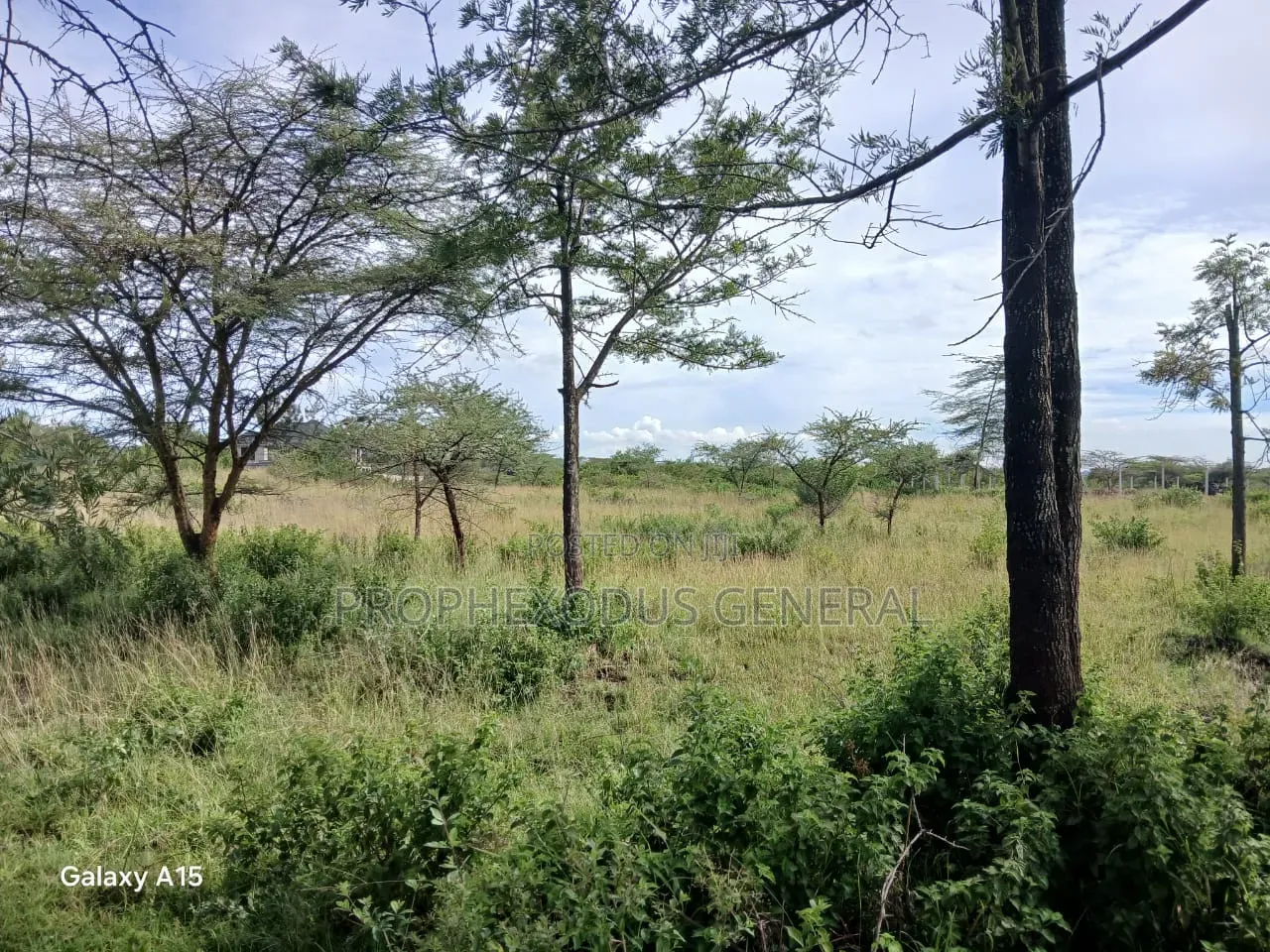 One Acre Residential Land for Sale Masaai Lodge