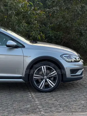 Volkswagen Golf Alltrack 2020 Gray