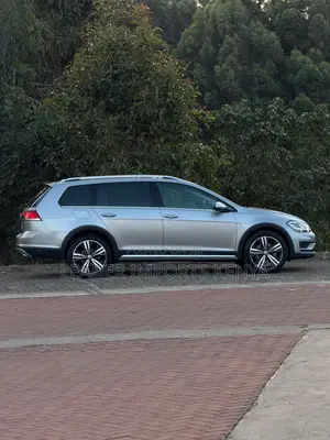 Volkswagen Golf Alltrack 2020 Gray