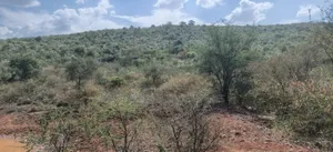 13 Acres of Land for Sale – Mogotio Chemogoch