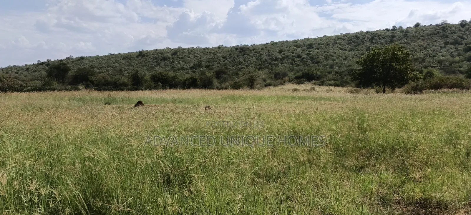 13 Acres of Land for Sale – Mogotio Chemogoch