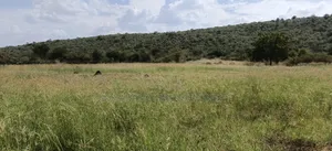13 Acres of Land for Sale – Mogotio Chemogoch
