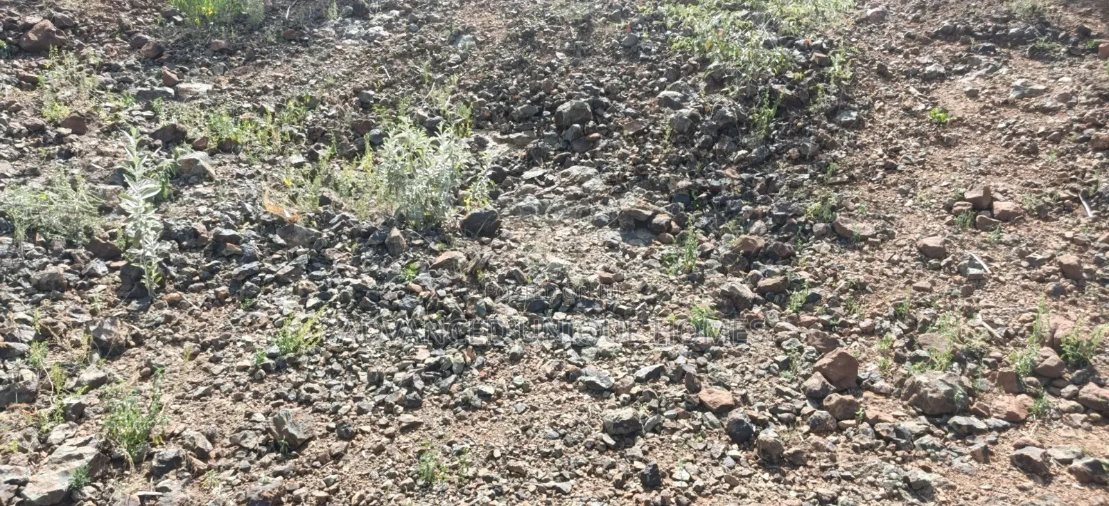 13 Acres of Land for Sale – Mogotio Chemogoch