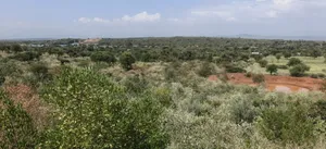 13 Acres of Land for Sale – Mogotio Chemogoch