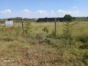 100ft by 100ft Residential Plots for Sale in O/Rongai Masaai Lodge