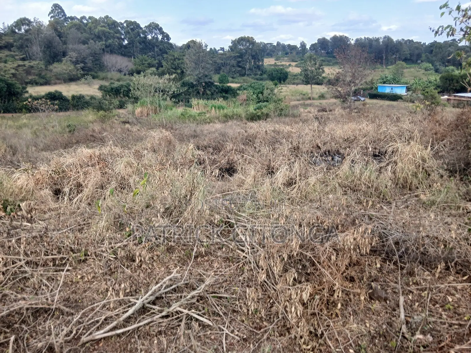 1/4acre Plot for Sale -Near Major Seminary Nyeri