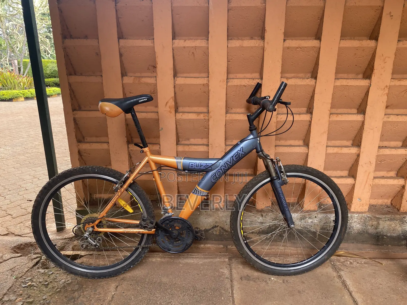 Buzz Convet Size 26 Bike