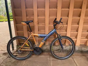 Buzz Convet Size 26 Bike