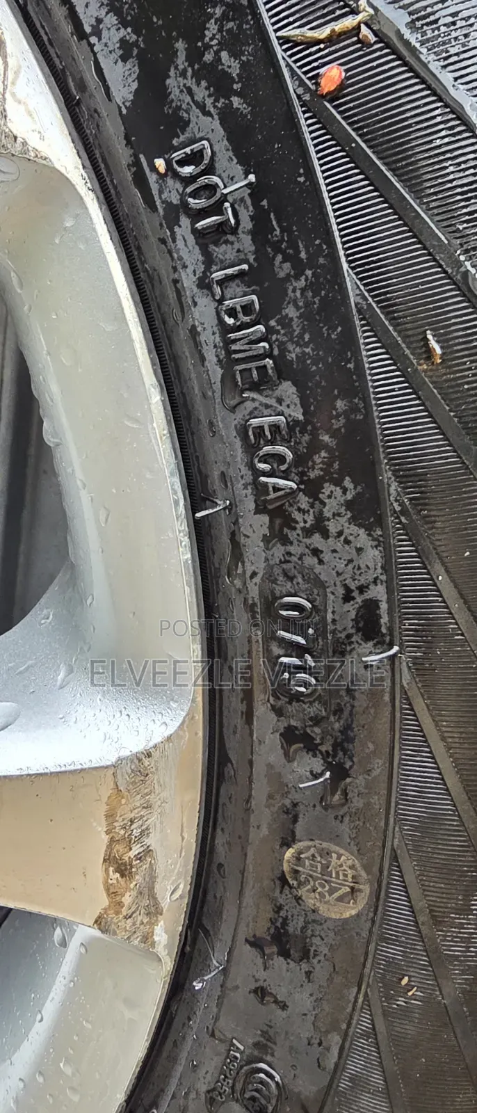 Alloy Rims & Tires (275/45 R19)