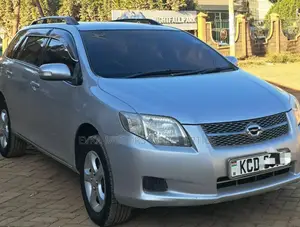 Toyota Corolla Fielder 2008 Silver